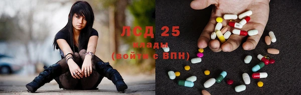СК Михайловск