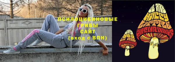 СК Михайловск