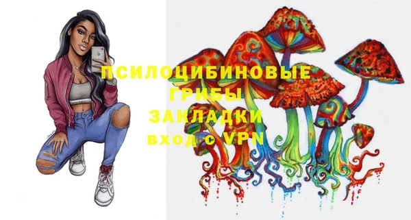 СК Михайловск