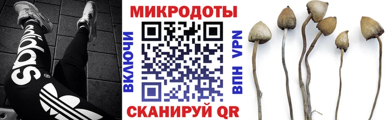 дарнет шоп мега как войти Галлюциногенные грибы Magic Shrooms Хвалынск
